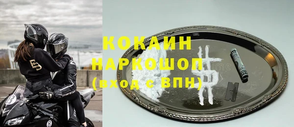 шишки Лагань