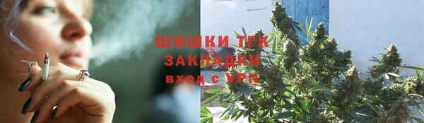 амф Ладушкин