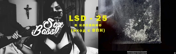 шишки Лагань