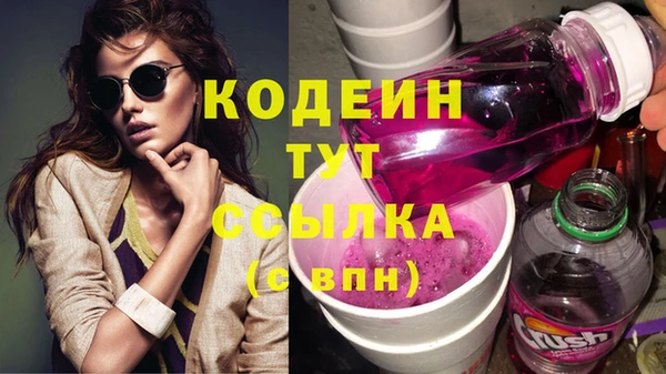 шишки Лагань