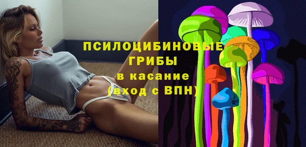 шишки Лагань