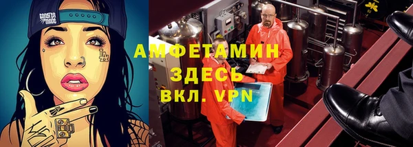 амф Ладушкин
